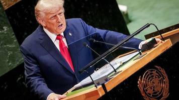 us-zölle auf autos: hurra – trump hält ein versprechen!